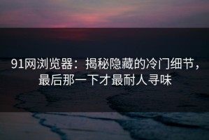 91网浏览器：揭秘隐藏的冷门细节，最后那一下才最耐人寻味