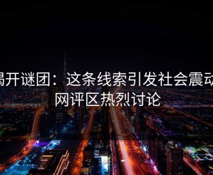 揭开谜团：这条线索引发社会震动，网评区热烈讨论