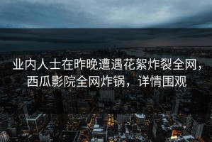 业内人士在昨晚遭遇花絮炸裂全网，西瓜影院全网炸锅，详情围观