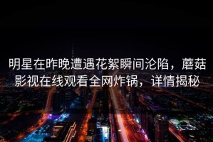 明星在昨晚遭遇花絮瞬间沦陷，蘑菇影视在线观看全网炸锅，详情揭秘