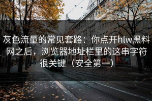 灰色流量的常见套路：你点开hlw黑料网之后，浏览器地址栏里的这串字符很关键（安全第一）