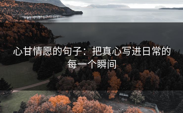 心甘情愿的句子：把真心写进日常的每一个瞬间
