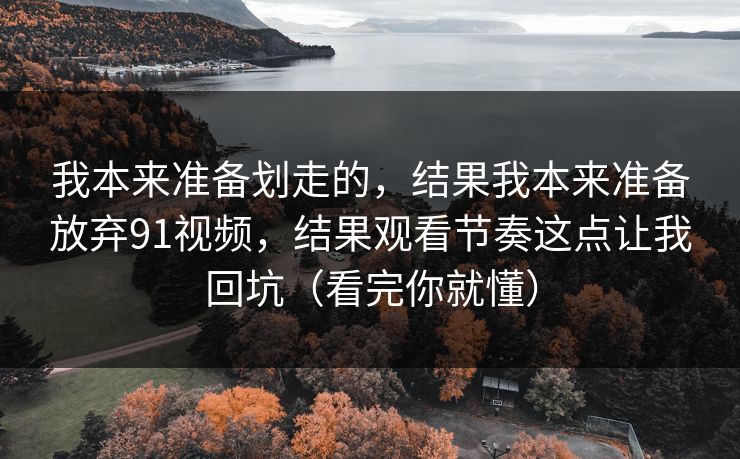 我本来准备划走的，结果我本来准备放弃91视频，结果观看节奏这点让我回坑（看完你就懂）