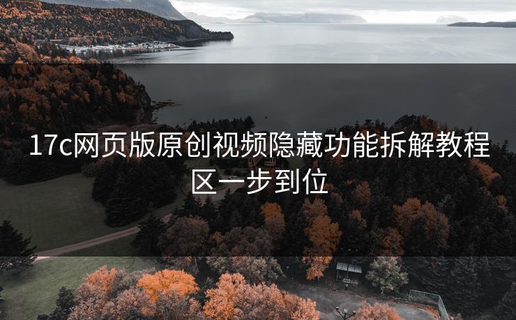 17c网页版原创视频隐藏功能拆解教程区一步到位